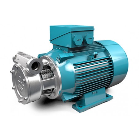 Peripheral Pumps – Compact High-Pressure Regenerative Turbine Pumps