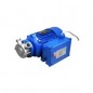 Liverani EP MINI Flexible Impeller Pump – Viscous Fluids & Food Grade
