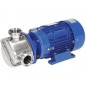 Liverani EP MINOR Flexible Impeller Pump – Viscous Fluids & Food Grade