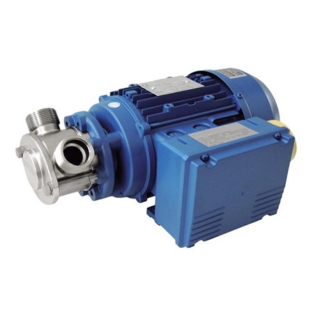 Liverani Miniverter Flexible Impeller Pump – Variable Speed SS316