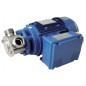 Liverani Miniverter Flexible Impeller Pump – Variable Speed SS316