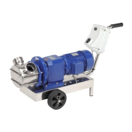 Liverani RID Flexible Impeller Pump