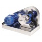 Liverani GR Flexible Impeller Pump