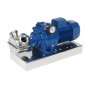 Liverani VA Flexible Impeller Pump