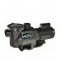 StaRite SuperMax In-Ground Swimming Pool & Spa Water Pump