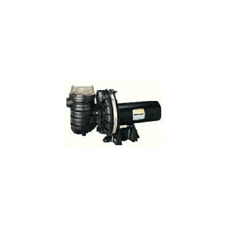 StaRite Swimming Pool & Spa Pump 70 GPM 1 HP P2RA5E-181L