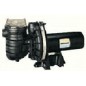 StaRite Swimming Pool & Spa Pump 70 GPM 1 HP P2RA5E-181L