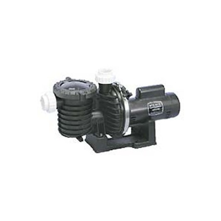 StaRite Swimming Pool & Spa Pump 125 GPM 2 HP P6RA6G-207L