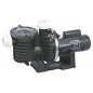 StaRite Swimming Pool & Spa Pump 125 GPM 2 HP P6RA6G-207L