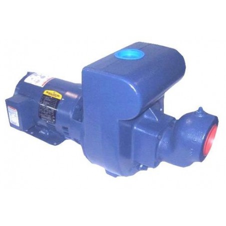 Berkeley Self Priming Pool Pump 172 GPM