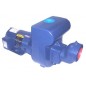 Berkeley Self Priming Pool Pump 172 GPM
