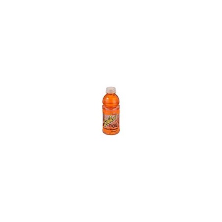 Full-Sugar Sports Drinks – Faster Rehydration with Natural Sugar Energy