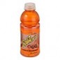 Full-Sugar Sports Drinks – Faster Rehydration with Natural Sugar Energy