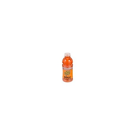Sugar-Free Sports Drinks for Rapid Rehydration