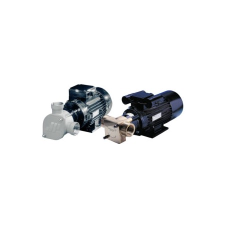 Flexible Member Pumps