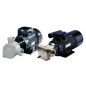 Flexible Member Pumps