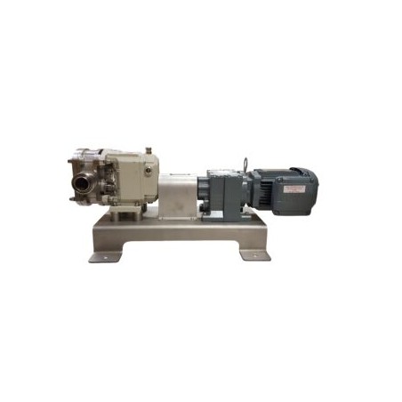 Lobe Pump