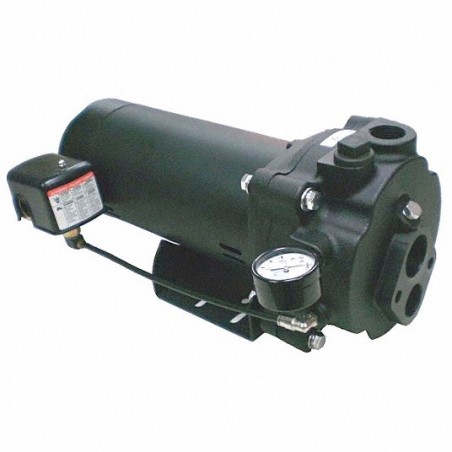 DAYTON Convertible Jet Pump – 1 1/4 in NPT Inlet, 1 in NPT Outlet
