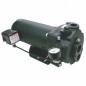 DAYTON Convertible Jet Pump – 1 1/4 in NPT Inlet, 1 in NPT Outlet