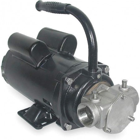 DAYTON Flexible Impeller Pumps, Stainless Steel