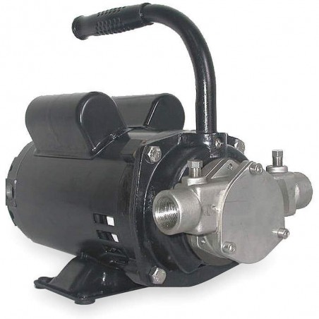 DAYTON Flexible Impeller Pumps, Stainless Steel