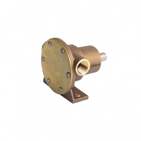 Bronze Pedestal Flexible Impeller Pump, with Nitrile Impeller and Lip Seal