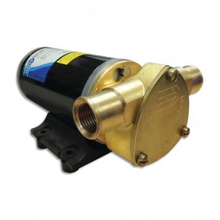 Ballast King DC Flexible Impeller Pump with NPT Ports, Close Coupled to a 12 VDC Motor