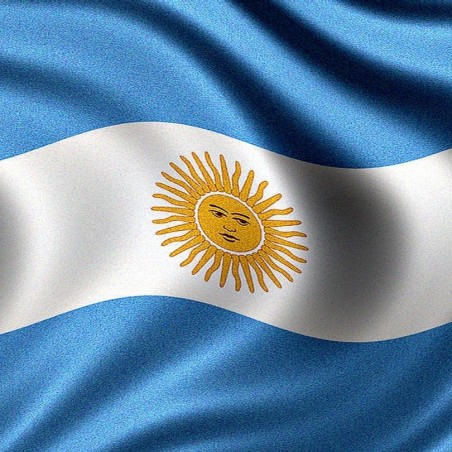Argentina Flag