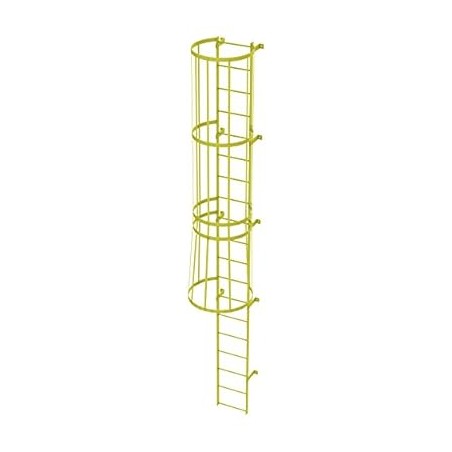Tri-Arc WLFC1119 19-Rung Standard Fixed Steel Ladder with Cage