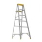 Werner 366 6ft Type I Aluminum Step Ladder – 250 lb Duty Rating, Tool-Tra-Top™, Spill-Proof® Pail Shelf