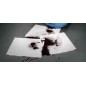 Absorbent Pad