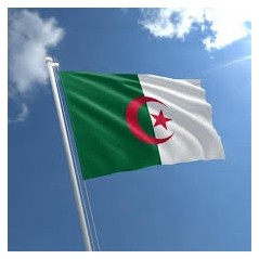 Algerian Flag