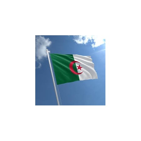 Algerian Flag