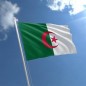 Algerian Flag