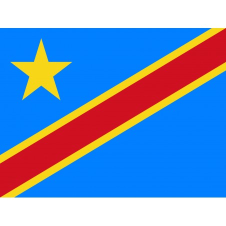 Democratic Republic of the Congo Flag