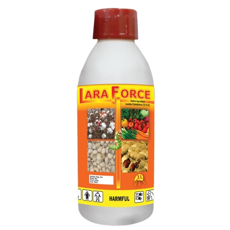 Lara Force ®