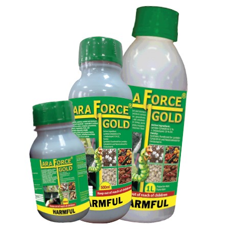 Lara Force Gold ®