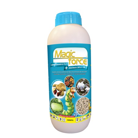 Magic Force ®