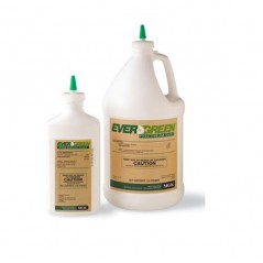 Pyrethrum Spray, Organic Pest Control
