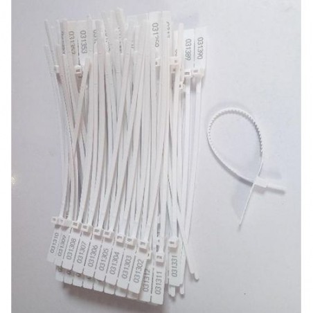 ANTI-TAMPER PLASTIC SECURITY SEAL LOCK