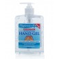 Hygienics 500ml Moisturising Hand Sanitiser