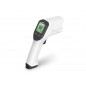 Rycom Infrared Thermometer